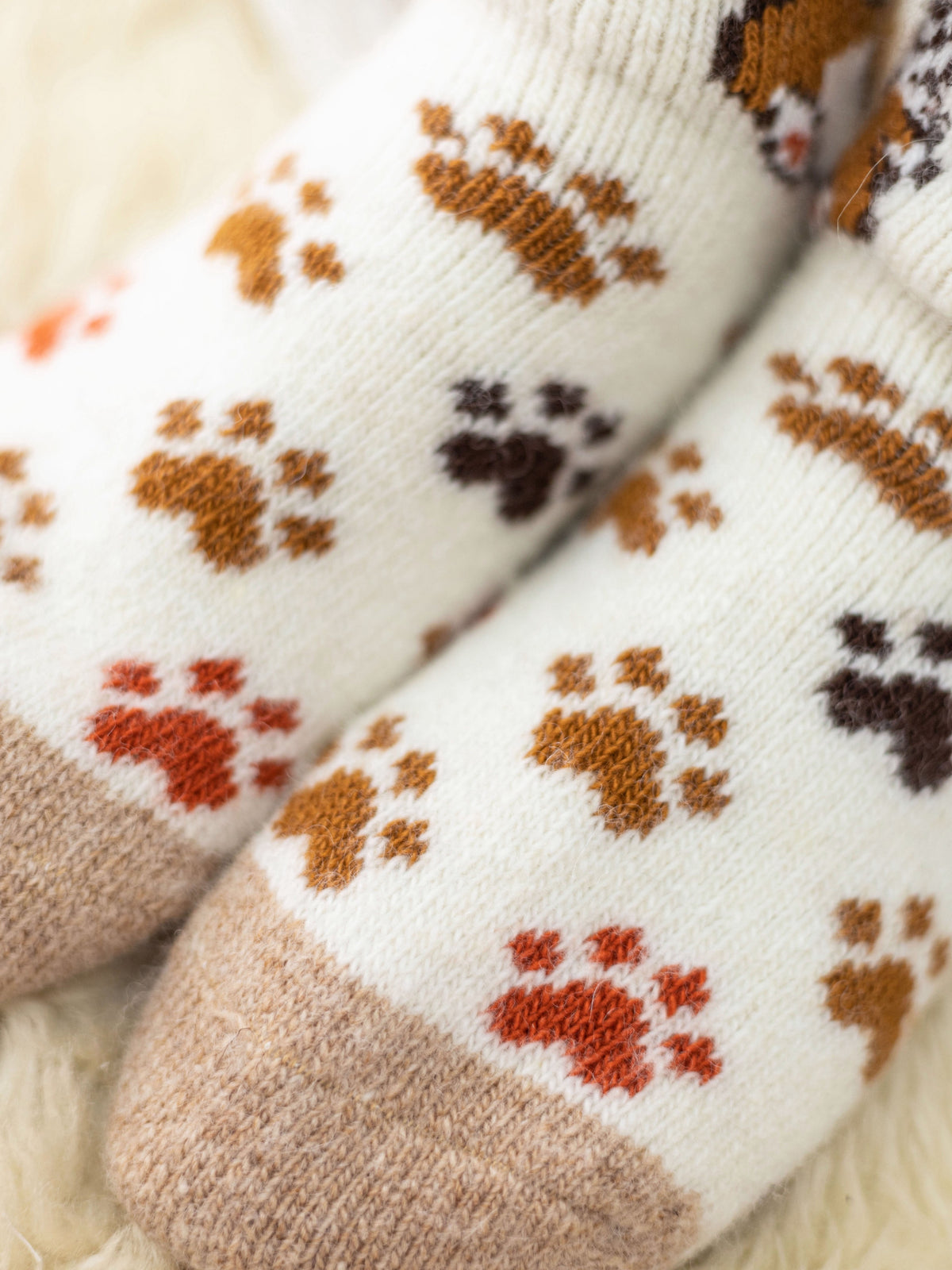 Corgi Wool Socks, Cream